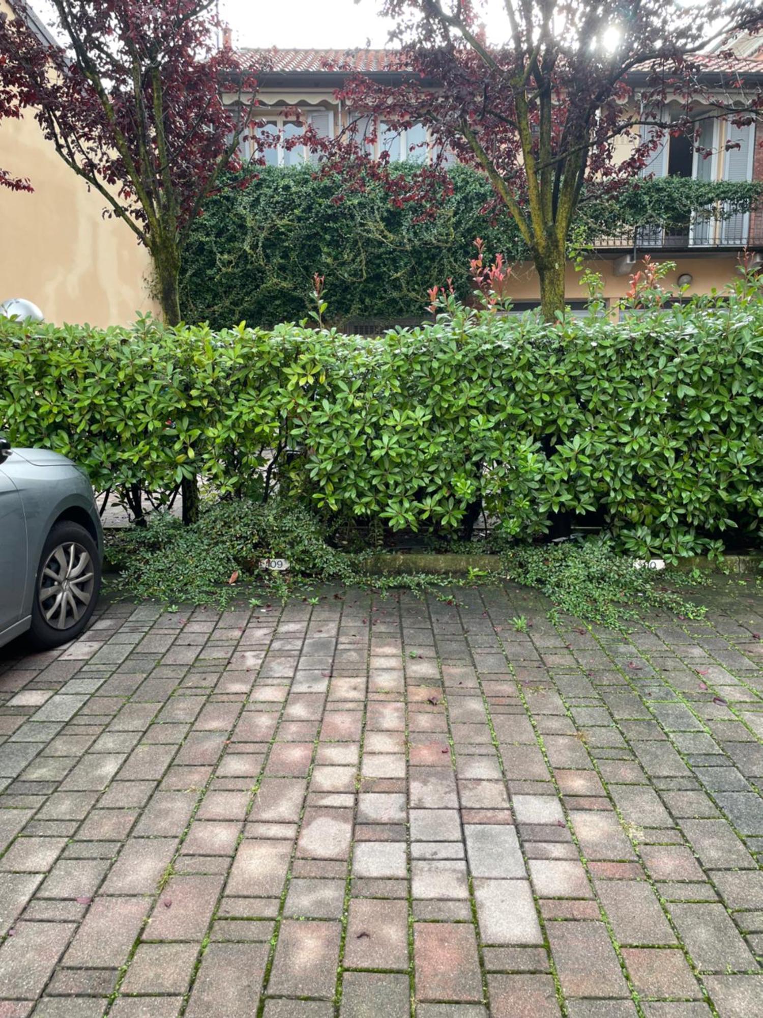 Gelsomino Appartamento Con Posto Auto Nel Centro Di Monza Exteriör bild